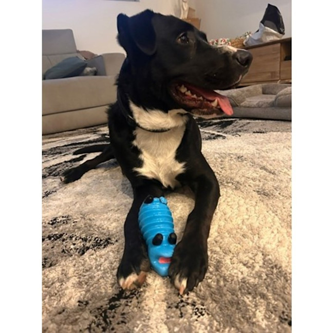 Photo of Bentley