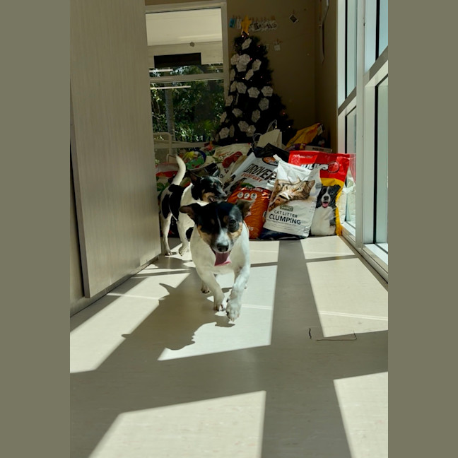 Photo of Jimmy + Sonny