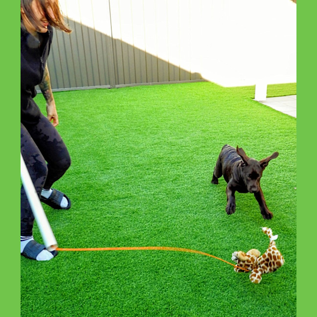 Photo of Coco