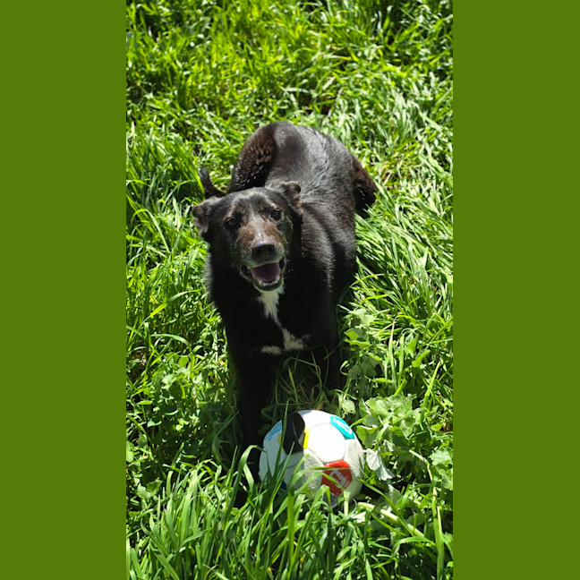 Photo of Matilda
