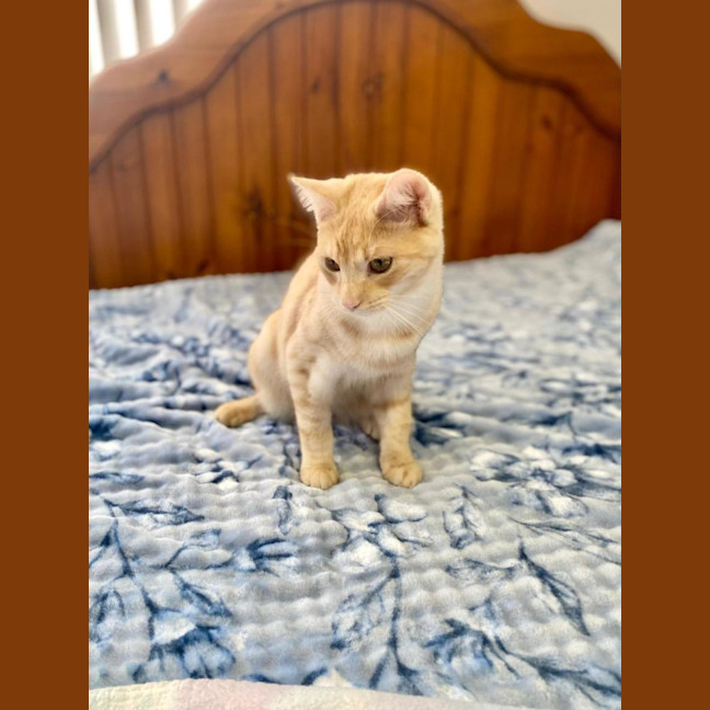 Photo of Sparkles