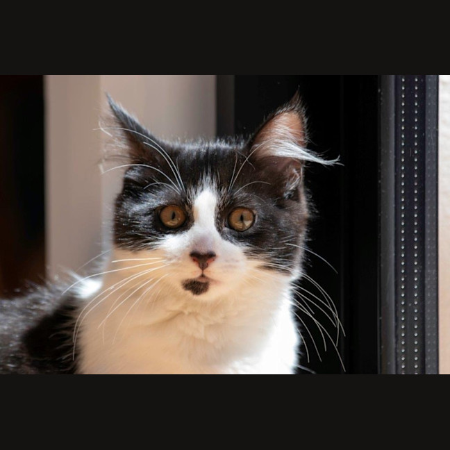 Photo of Gretel Moriarty