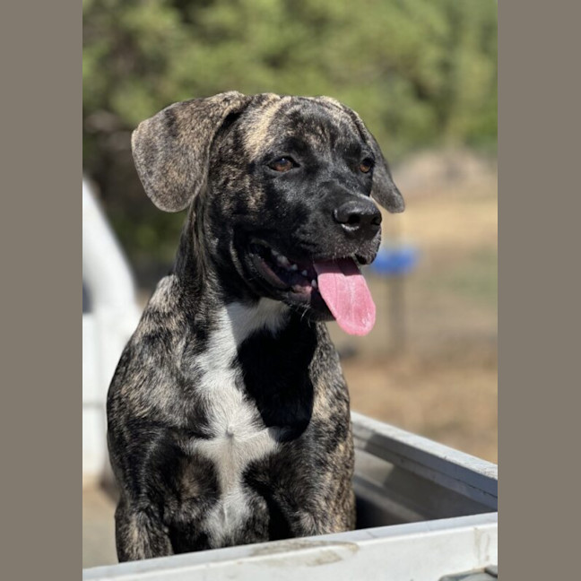 Photo of Lucy