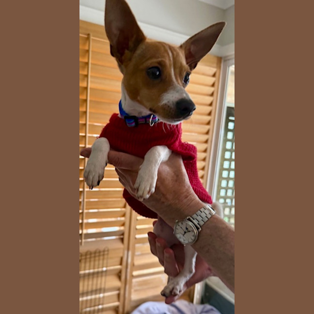 Photo of Pablo