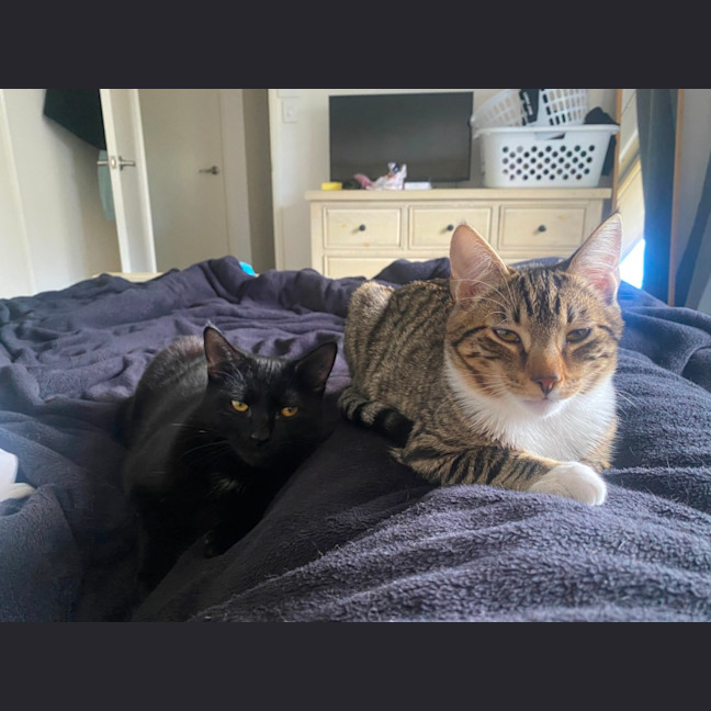 Photo of Bruni (With Jinx)