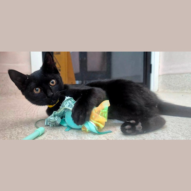 Photo of Mary (9202)