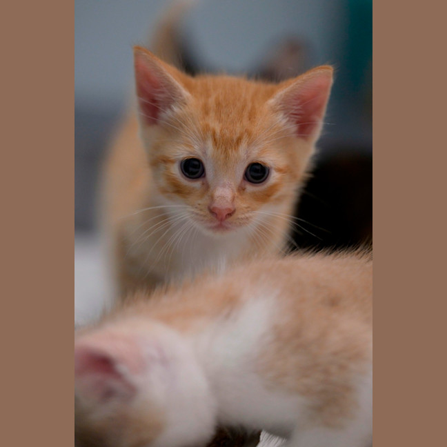 Photo of 🧡 Cinnabon 🤍