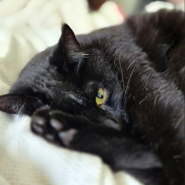 Photo of Mitzy Quinnell