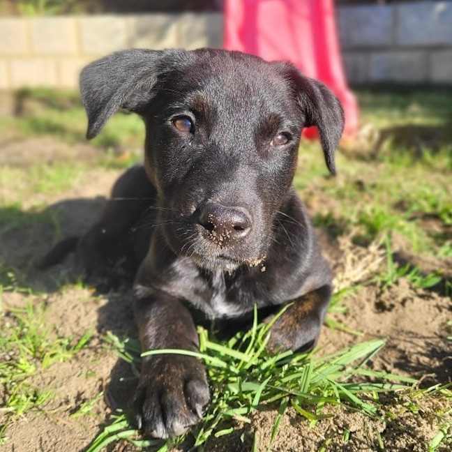 Photo of Winnie