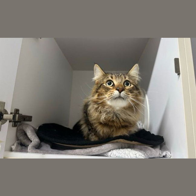 Photo of Riccardo