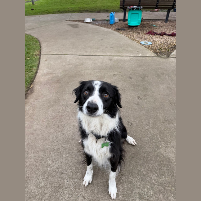 Photo of Gary 