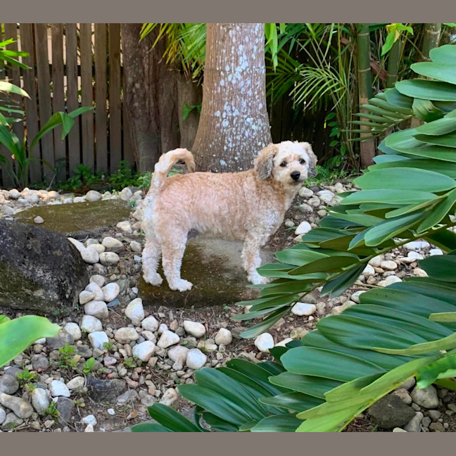 Photo of Coco And Cherry 