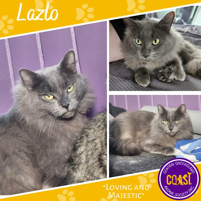 Photo of Lazlo