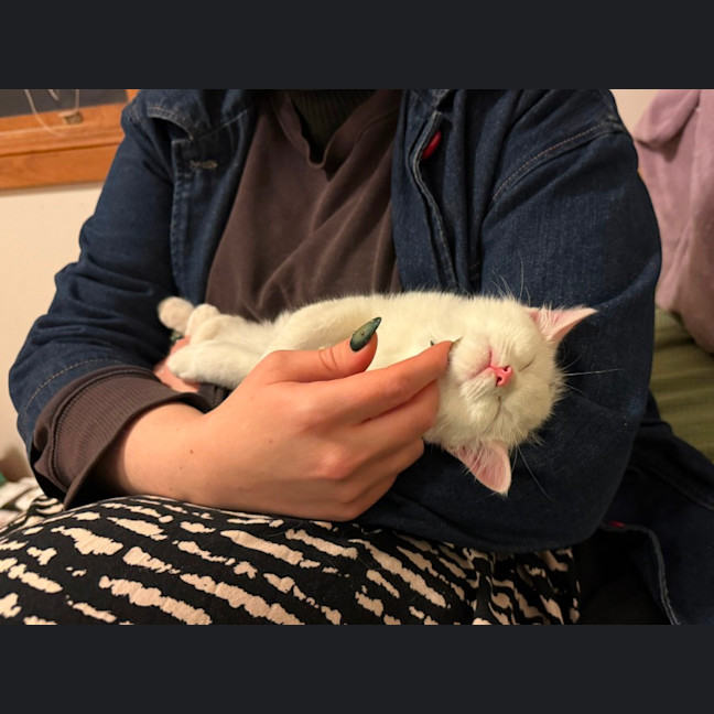 Photo of Evacuation Plan