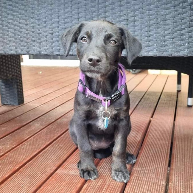 Photo of Winnie