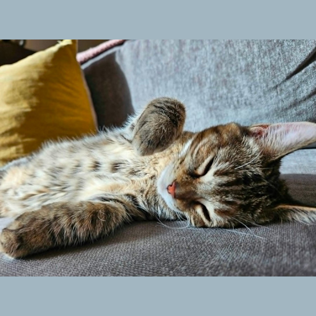 Photo of Shirley