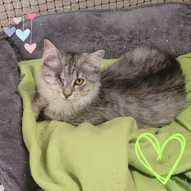 Photo of 💖 Chloe & Charlie 💖