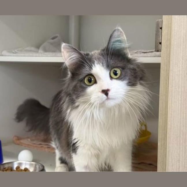 Photo of Elsie