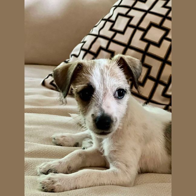 Photo of Marley Muddle