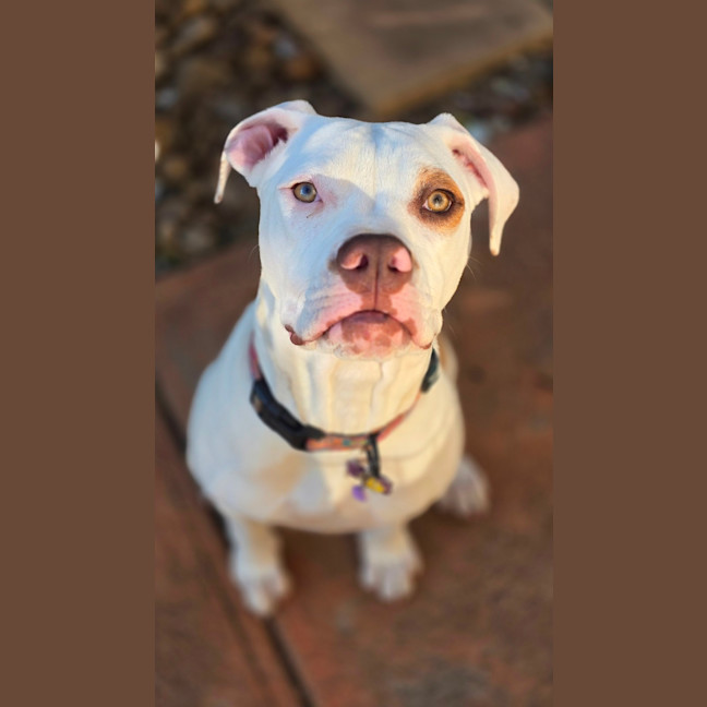 Photo of Clementine