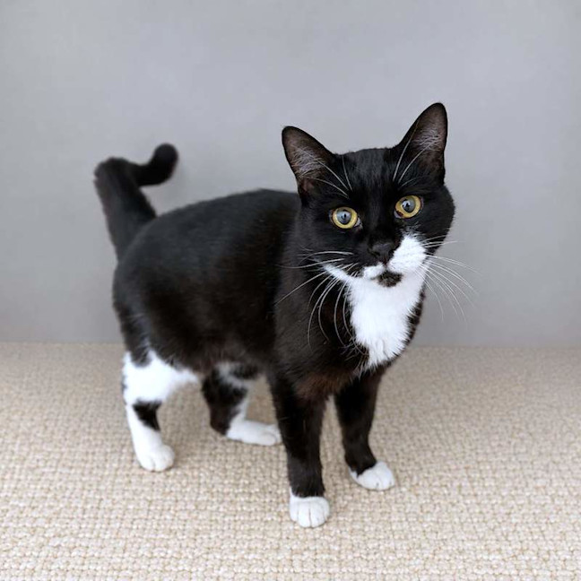 Photo of Betty
