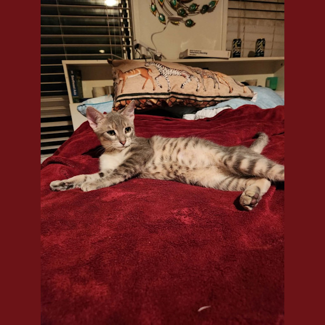 Photo of Ridoc