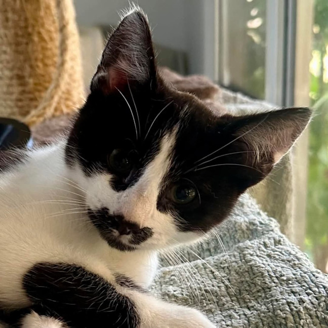 Photo of Kung Fu Panda