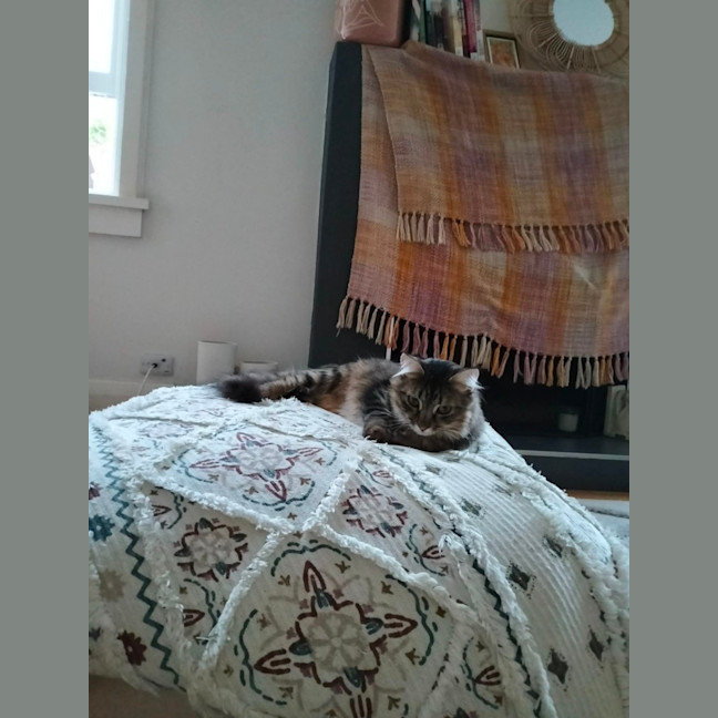 Photo of Polly Sasha