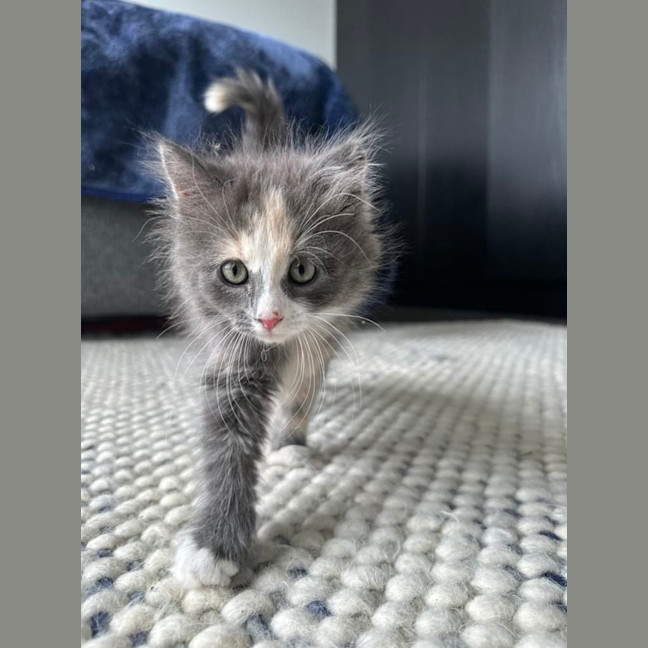 Photo of Myla
