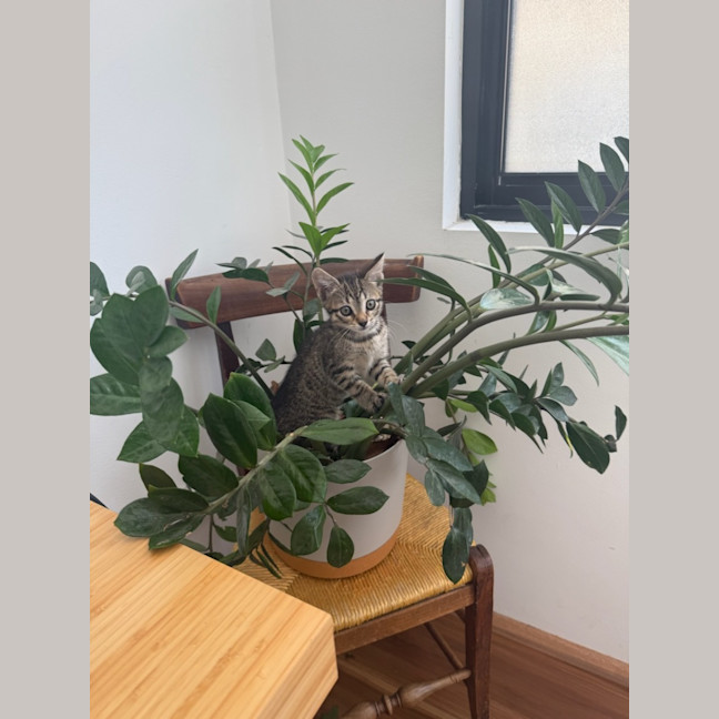 Photo of Betty Lou Who