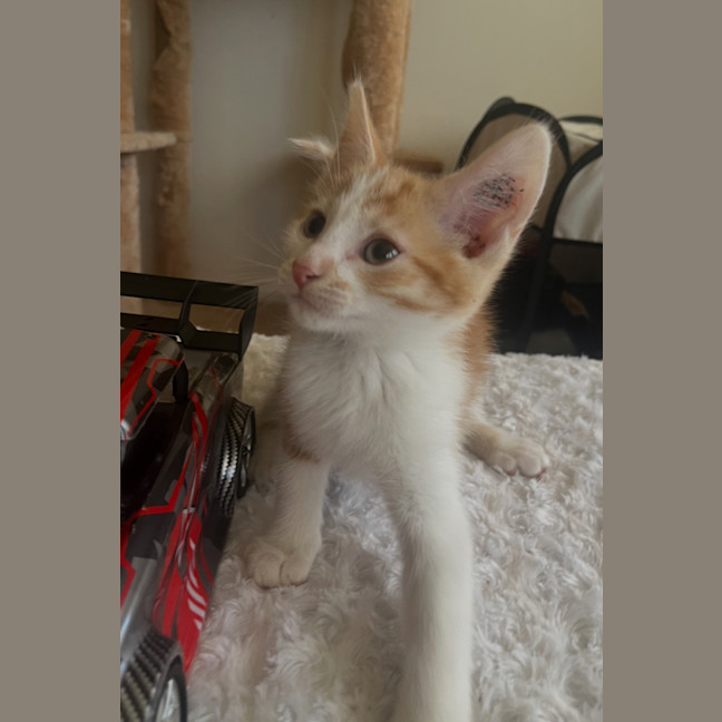 Photo of Charlie