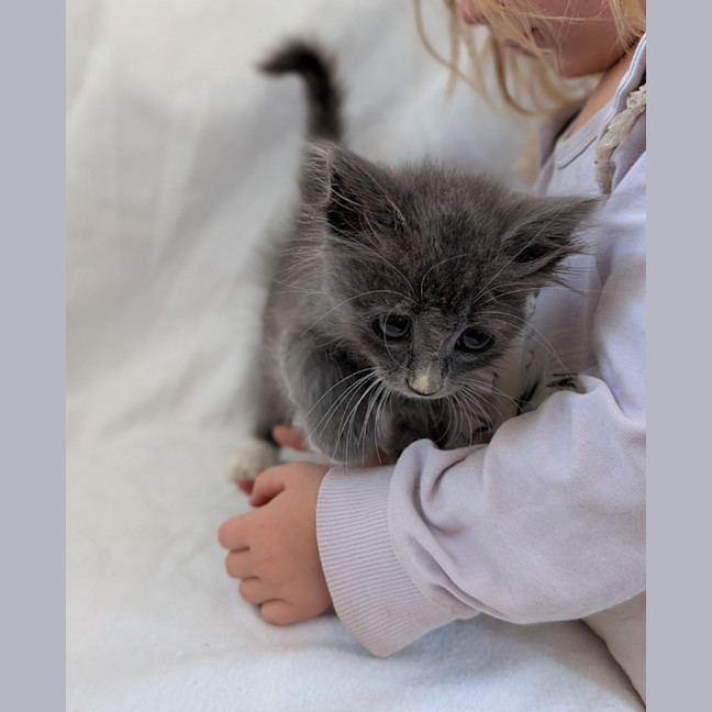 Photo of Mooni