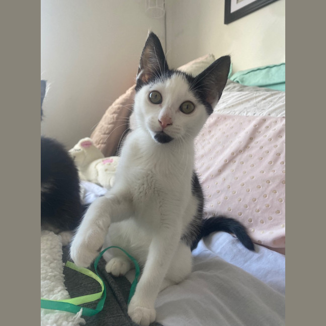 Photo of Zeb Sanderson