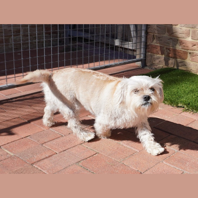 Photo of Sally