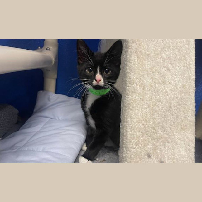 Photo of Spooky
