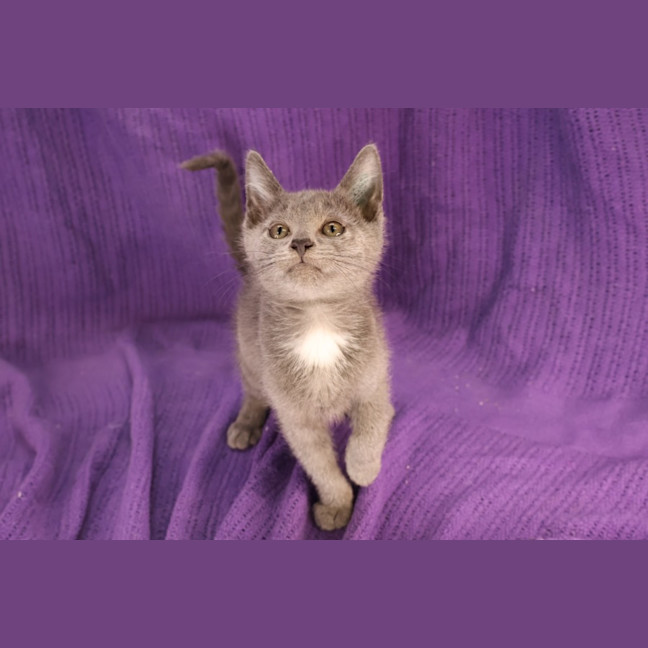 Photo of Tidbit 