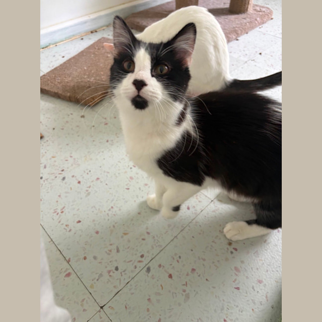 Photo of Otis 