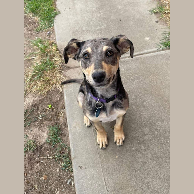 Photo of Delta 💜
