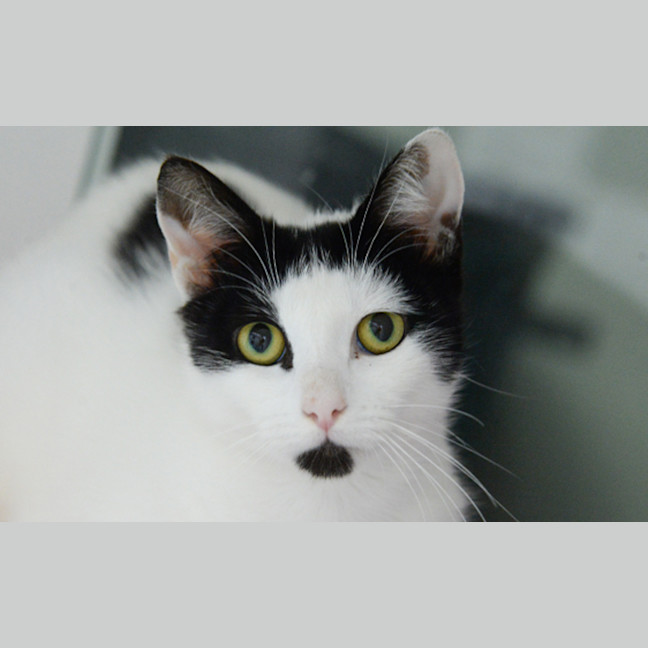 Photo of Dottie