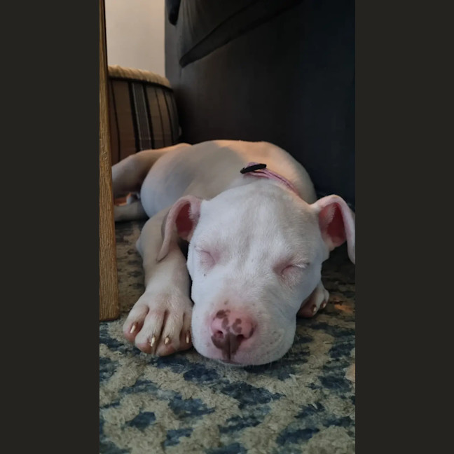 Photo of Winifred (Winnie)