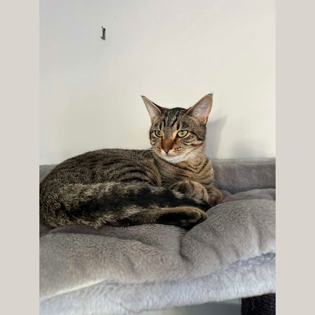 Photo of Klaus