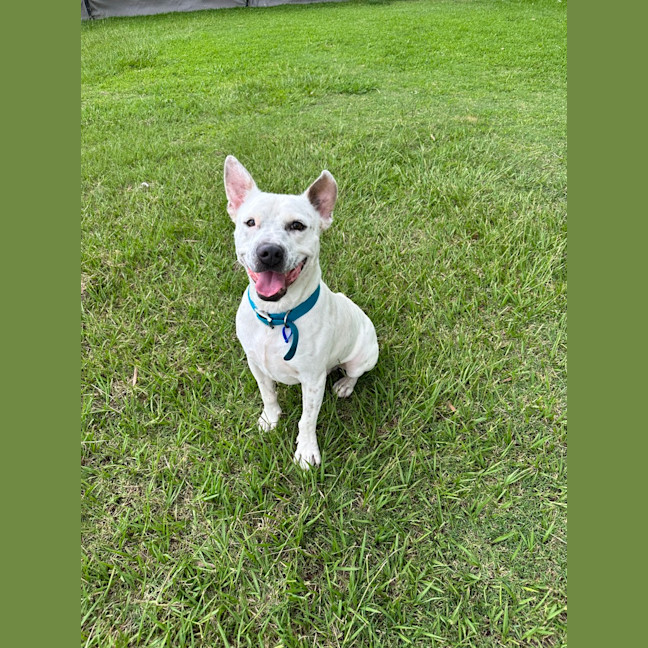 Photo of Ephram