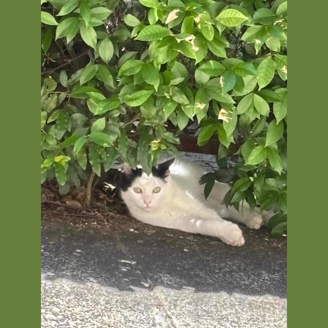 Photo of Hugh And Imogen 