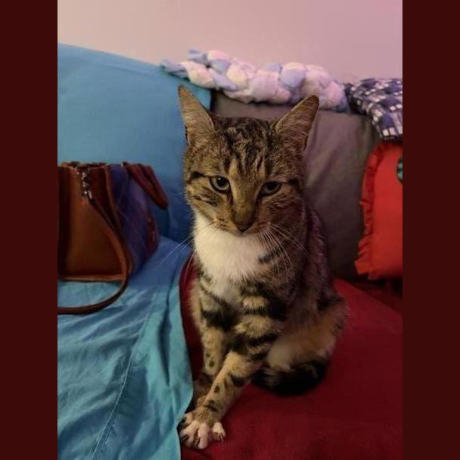 Photo of Mousie