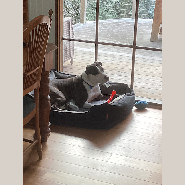 Photo of Daxon