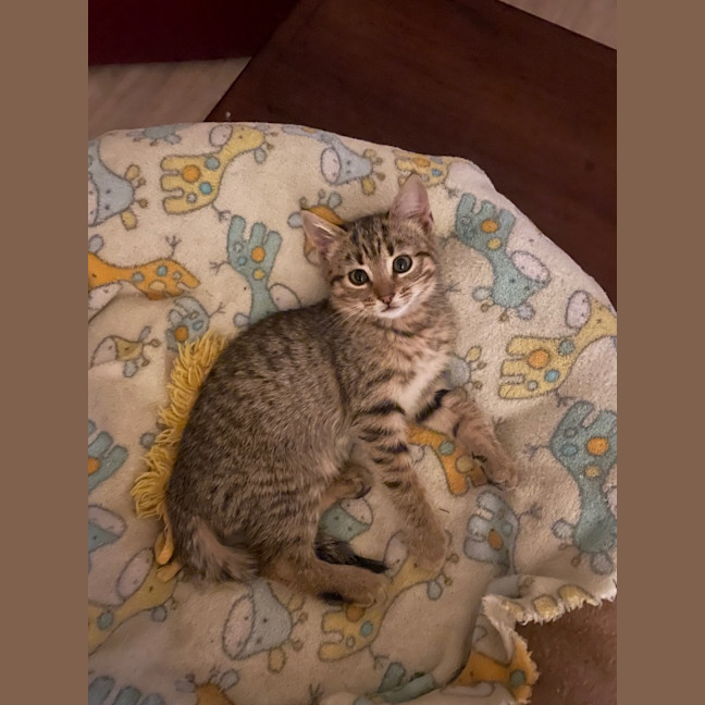 Photo of Faye