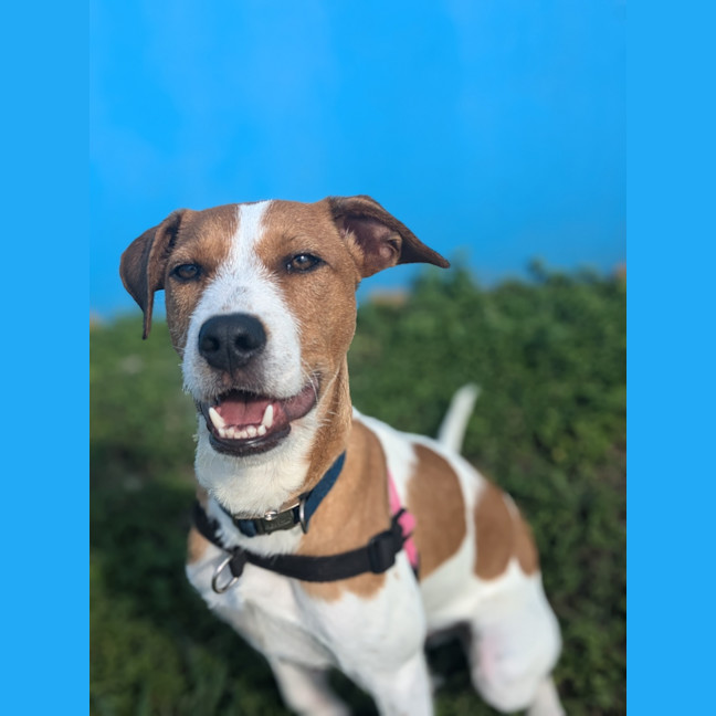 Photo of Mac 