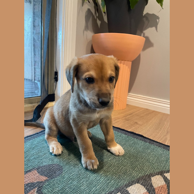 Photo of Monty