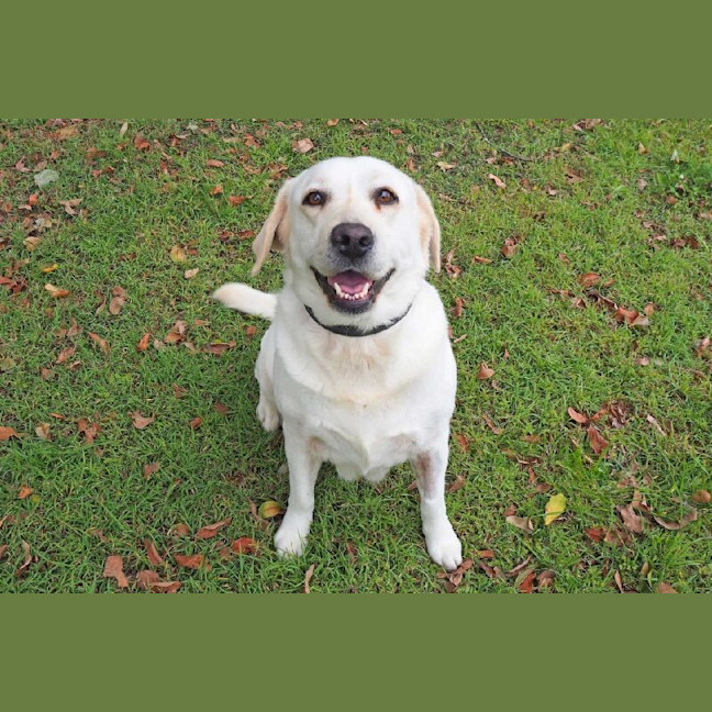 Photo of Heather Now Haven