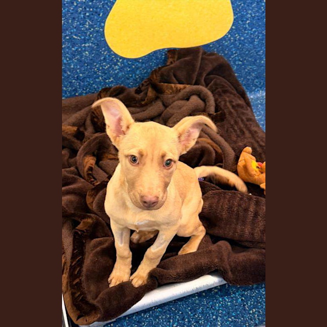 Photo of Bingo